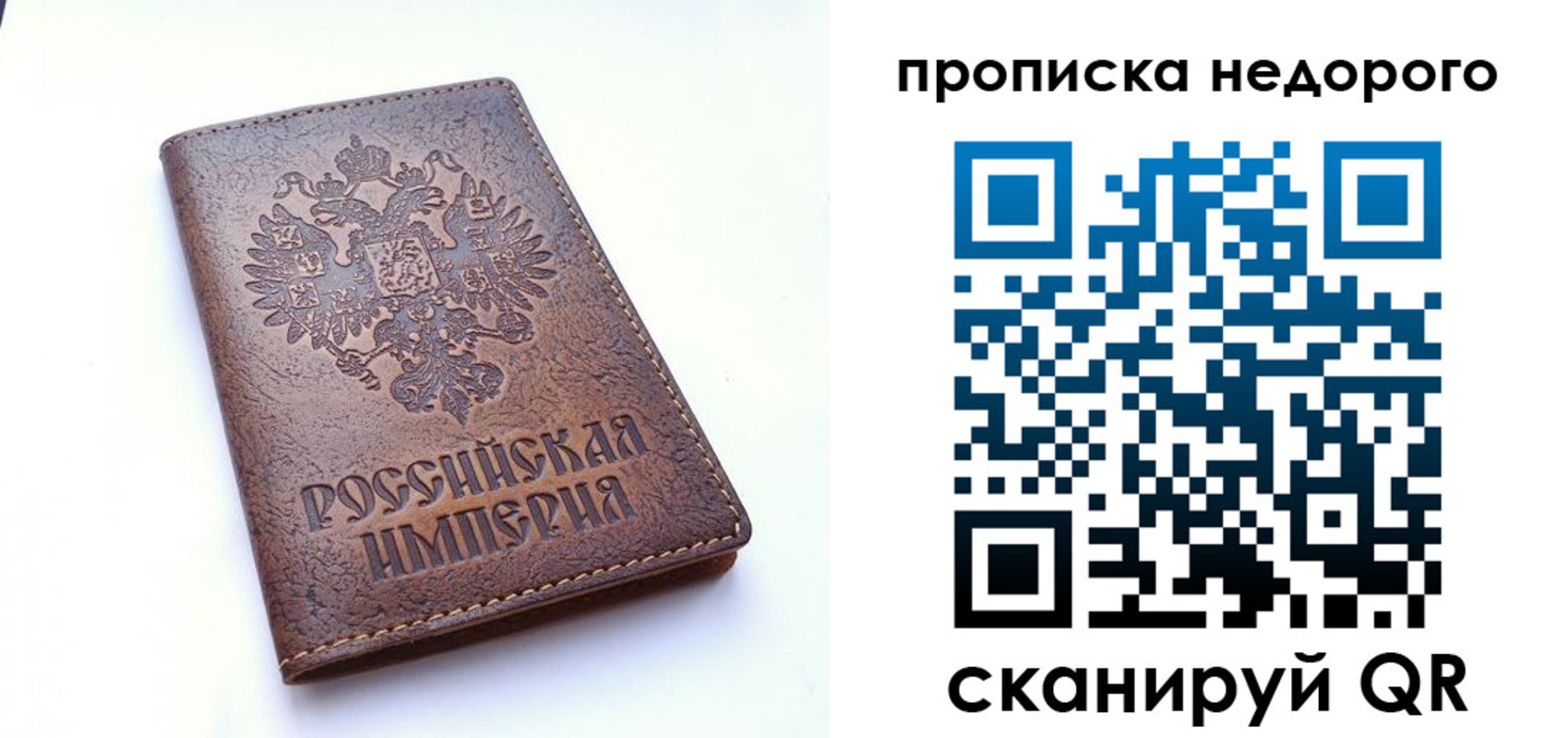 прописка для школы в Камышине